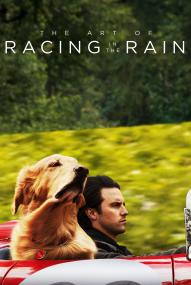 The Art of Racing in the Rain (2019) stream deutsch
