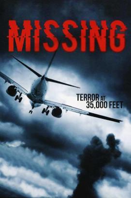 Missing - The last Flight (2013)