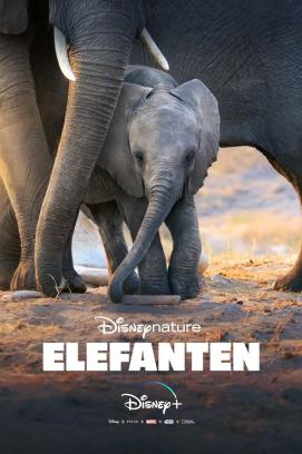 Elefanten (2020)