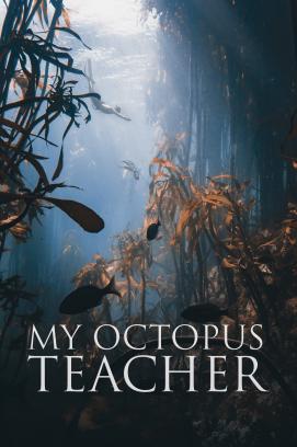 My Octopus Teacher (2020)