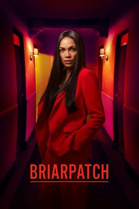 Briarpatch - Staffel 1 (2020)