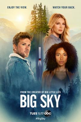 Big Sky - Staffel 1 (2020)