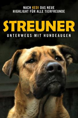 Streuner - Unterwegs mit Hundeaugen (2020)
