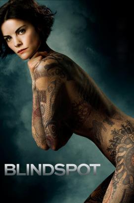 Blindspot - Staffel 5 (2015)