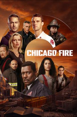 Chicago Fire - Staffel 4 (2012)