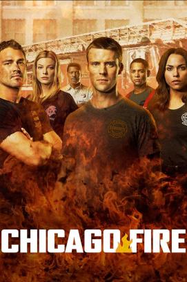 Chicago Fire - Staffel 9 (2012)