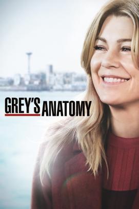 Grey's Anatomy: Die jungen Ärzte - Staffel 17 (2021)