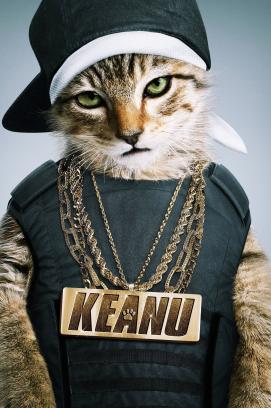 Keanu - Her mit dem Kätzchen! (2016)