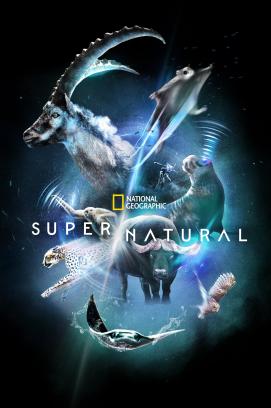 Super/Natural - Staffel 1 (2022)