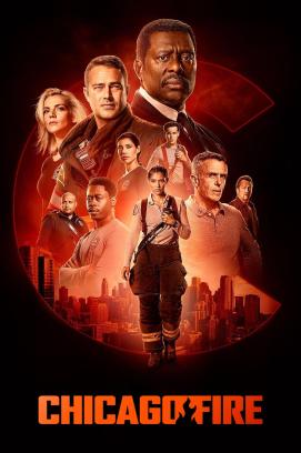 Chicago Fire - Staffel 11 (2012)
